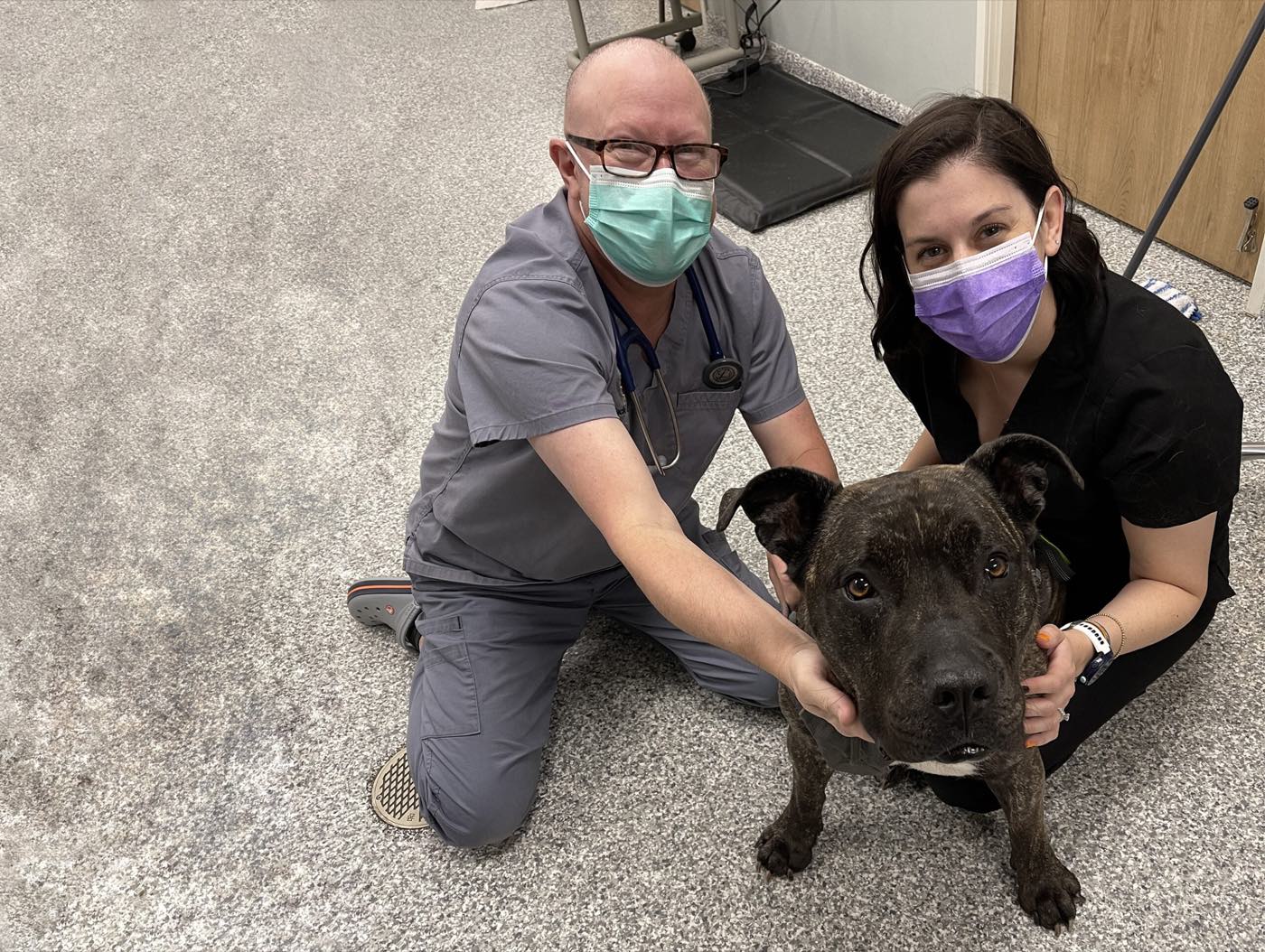 Fifth and Kenny Animal Hospital, Columbus Ohio