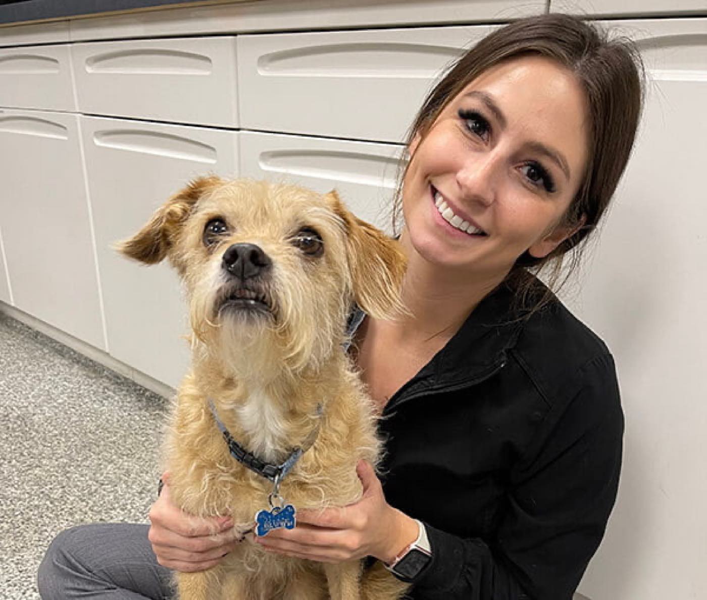 Fifth and Kenny Animal Hospital, Columbus Ohio